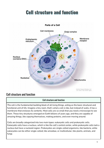 Cell structure and function