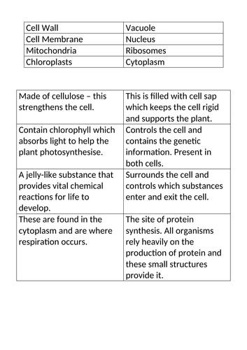 Animal and Plant Cells | Teaching Resources
