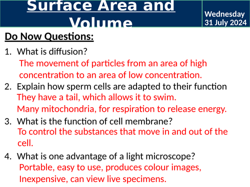 Surface Area and Volume