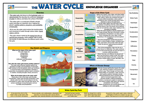 The Water Cycle - KS2 Knowledge Organiser! | Teaching Resources
