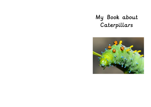 Books about Caterpillars and Butterflies