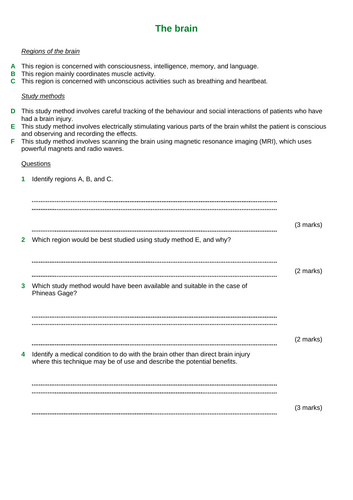 B10 The Human Nervous System (TRIPLE lessons only - Eye/ Brain) GCSE AQA