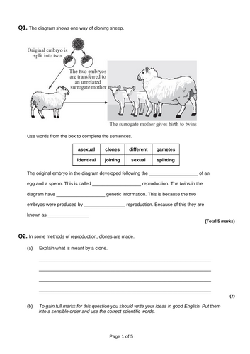 B14 Variation and Evolution (TRIPLE lessons only) Cloning GCSE AQA