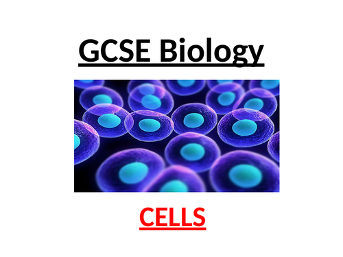 CIE iGCSE Biology  0970 (9-1) Topic 2 Organisation of organisms