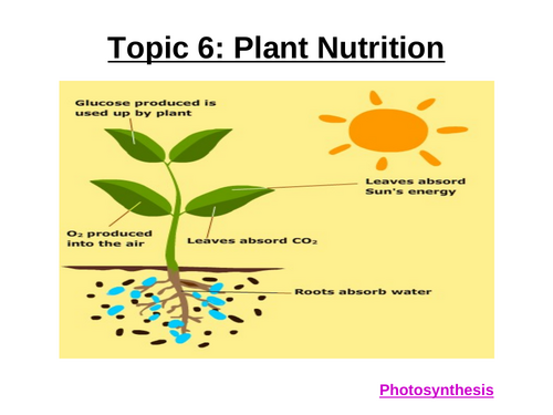 CIE iGCSE Biology 0970 (9-1) Topic 6 Plant Nutrition & Topic 8 Transport in Plants