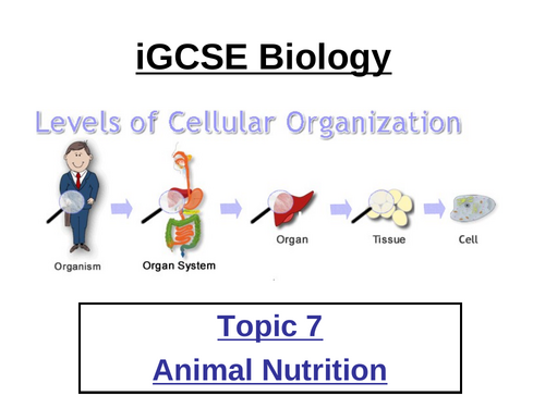 CIE iGCSE Biology 0970 (9-1) Topic 7 Human Nutrition ppt & worksheets