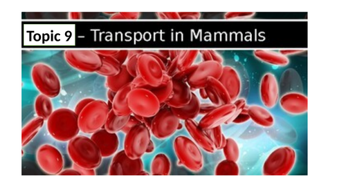 CIE iGCSE Biology 0970 (9-1) Topic 9 Transport in animals ppt & worksheets