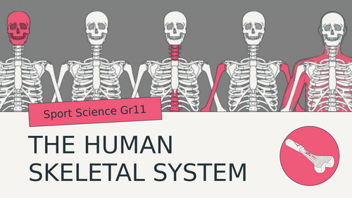 Sport Science: IBDP SEHS B1 - Generating Movement in the Body COMPLETE PPTs