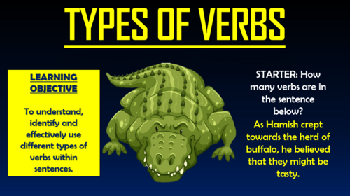 Types of Verbs - Double Lesson!