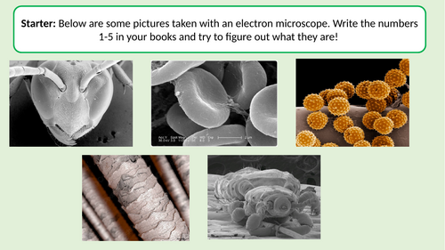 Year 7 Microscopy powerpoint with additional powerpoint on onion cell