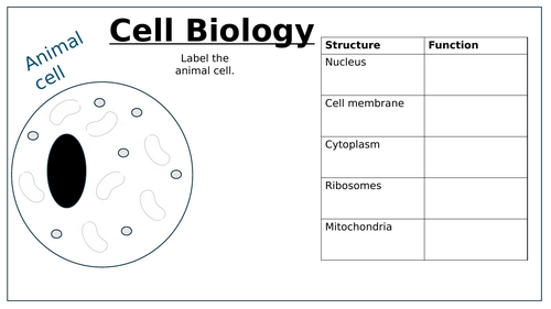 GCSE cell biology resource