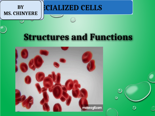 Specialised Cells