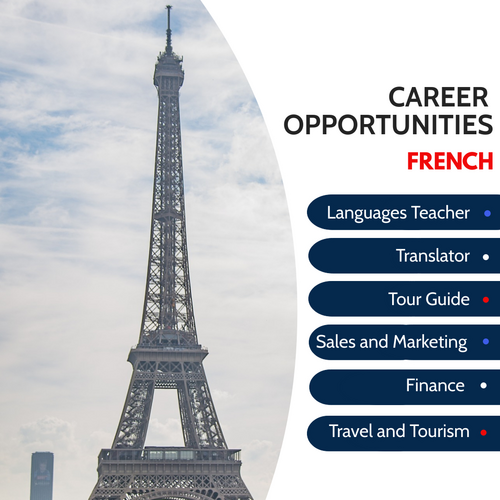 French Careers Display Poster