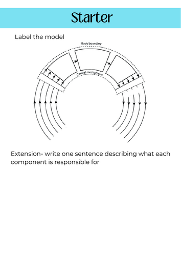 Memory and schema (AQA A level PE)