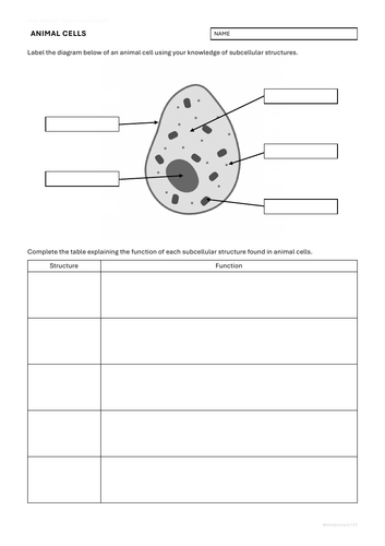 B1 Cell Structure Worksheet Pack