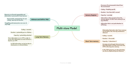 Memory Mind Maps for A-Level Psychology