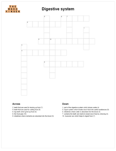 Digestive System Crossword (KS2 Science)