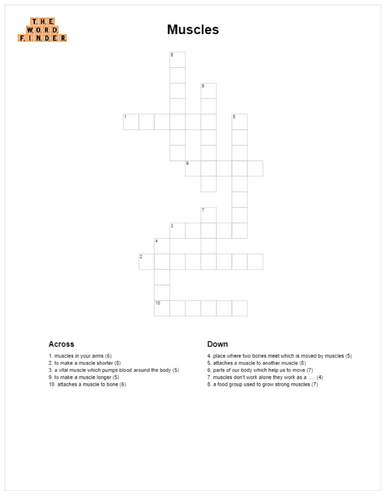 Muscles Crossword (KS2 Science)