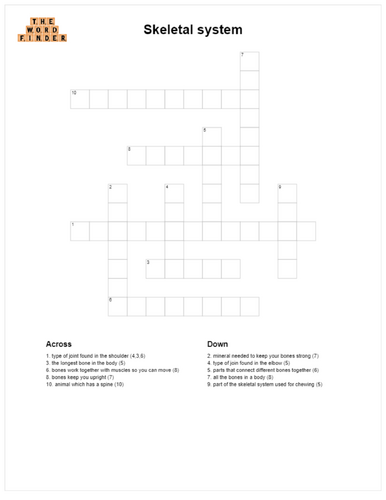 Skeletal system crossword (KS2 Science)