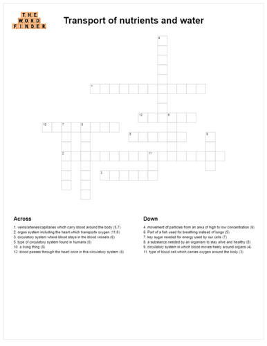 Transport of nutrients and water crossword (KS2 Science)