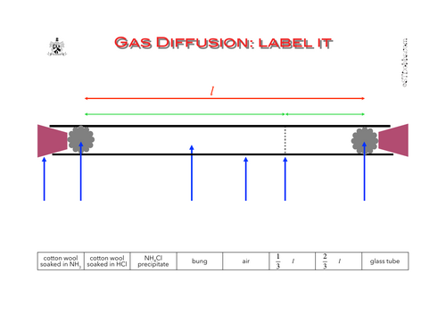 Gas diffusion: label it