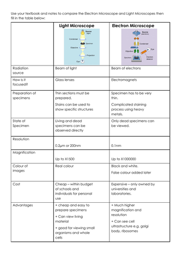 Microscopy Worksheet