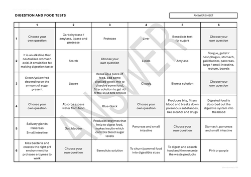 B2 Food Tests, Digestion & Enzymes Challenge Grid