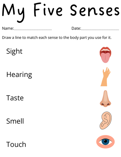 printable 5 senses worksheets for kindergarten - preschool five senses activity