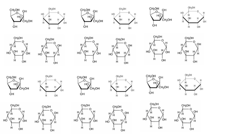 Monosaccharides and Disaccharides