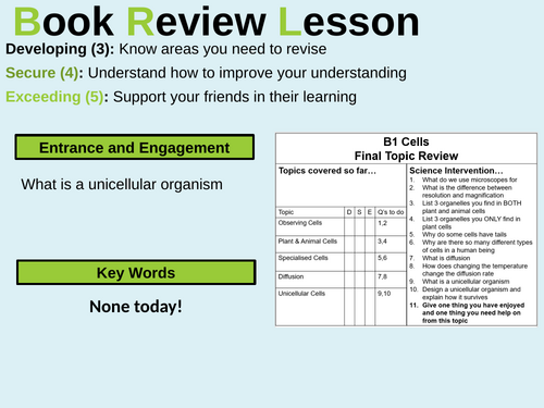 B1.6 Summary Year 7 Biology