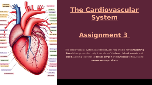 NCFE Level 2 - Anatomy & Physiology For Exercise