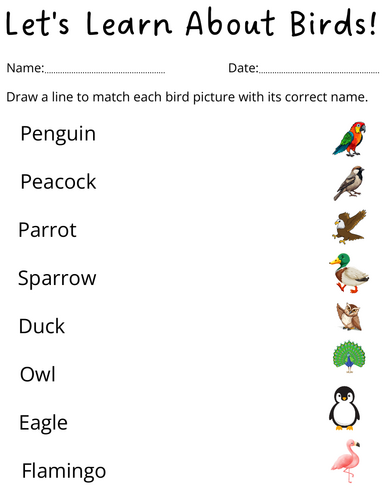 preschool birds name worksheet for kindergarten