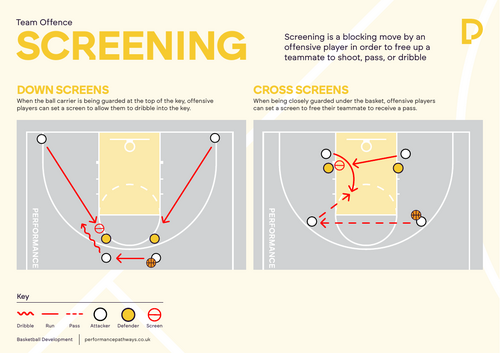 Basketball Screening Poster