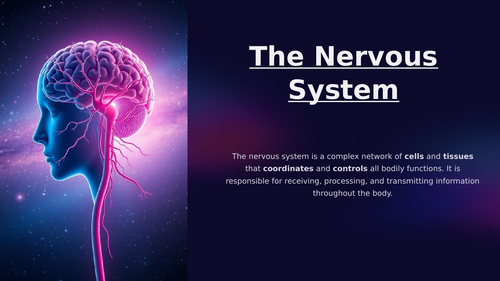 NCFE Level 2 - The Nervous System