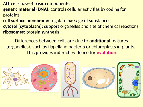 AQA. GCE. Biology. Eukaryotic cell structure.