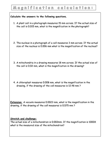 Year 7 - Living systems - L3 Magnification Worksheet