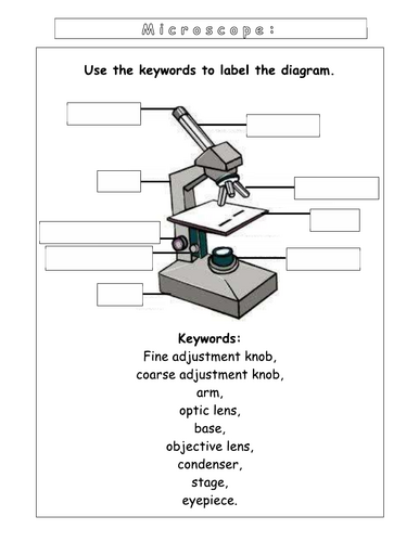 Year 7 - Living systems - L4 Microscopy worksheet