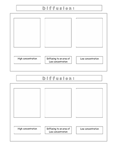 Year 7 - Living systems – L5 Diffusion worksheet