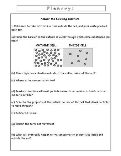 Year 7 - Living systems – L5 Diffusion worksheet