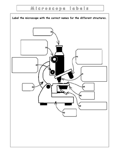 Year 7 - Living systems – L5 Diffusion worksheet