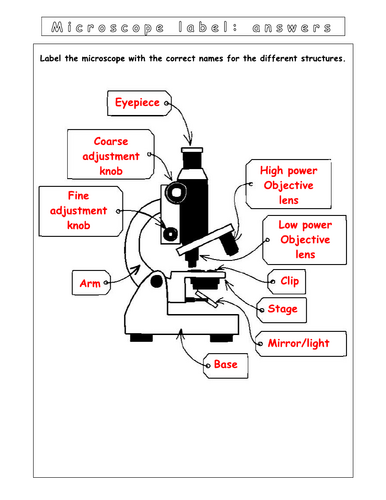 Year 7 - Living systems – L5 Diffusion worksheet