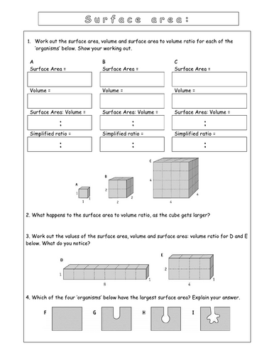 Year 7 - Living systems – L5 Diffusion worksheet