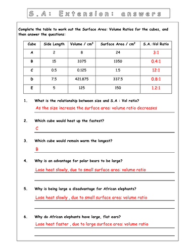 Year 7 - Living systems – L5 Diffusion worksheet