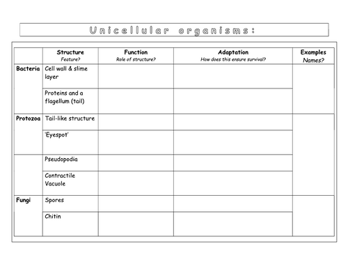 Year 7 - Living systems – L6 - Unicellular organisms worksheet