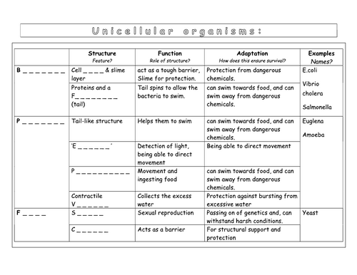 Year 7 - Living systems – L6 - Unicellular organisms worksheet