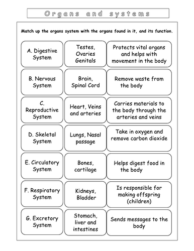 Year 7 - Living systems – L7 – Organisation worksheet