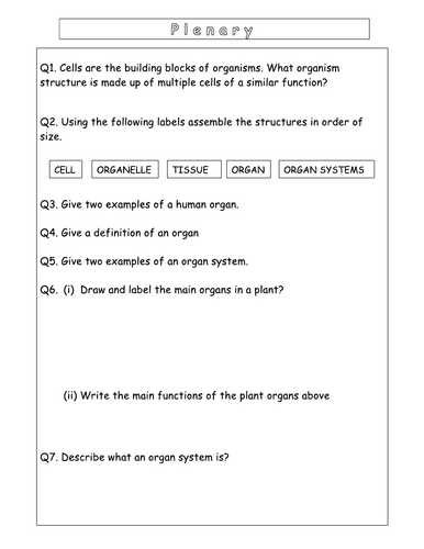 Year 7 - Living systems – L7 – Organisation worksheet