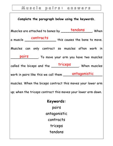 Year 7 - Living systems - L9 - Muscles worksheet  (SEN)