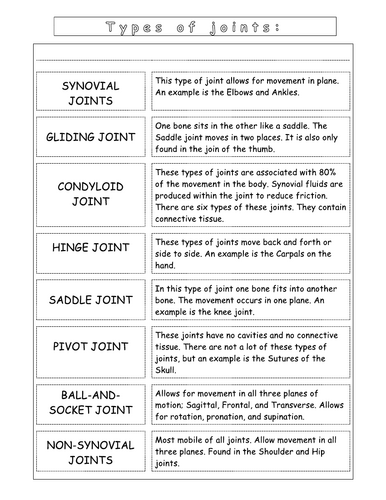 Year 7 - Living systems – L10 - Joints worksheet