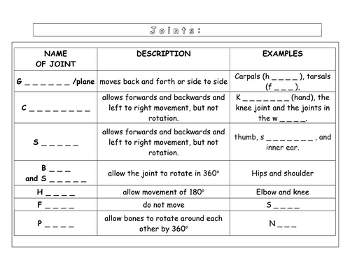 Year 7 - Living systems – L10 - Joints worksheet  (SEN)